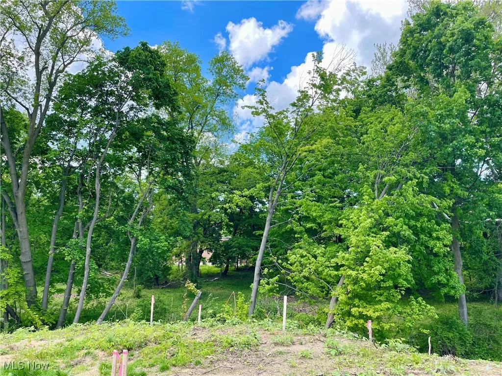 9025 Jackson Street, Mentor, Ohio,MLS Now Listing ID