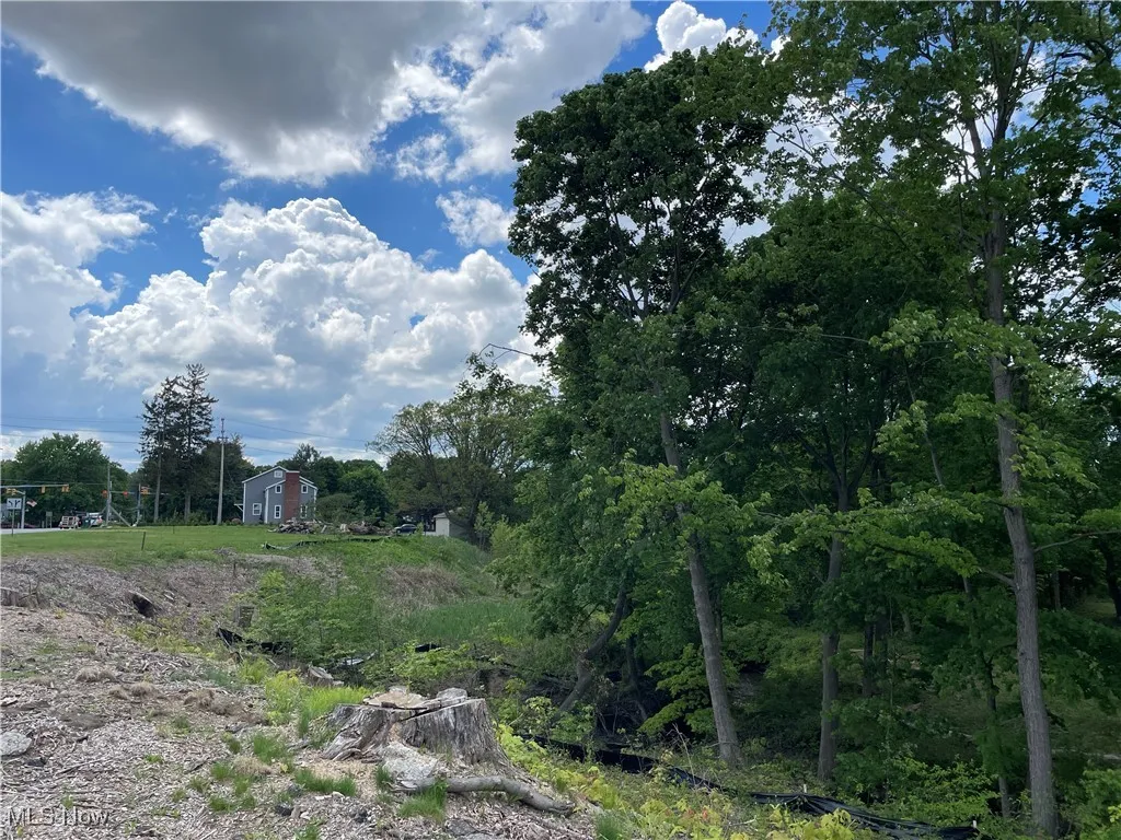 9025 Jackson Street, Mentor, Ohio,MLS Now Listing ID
