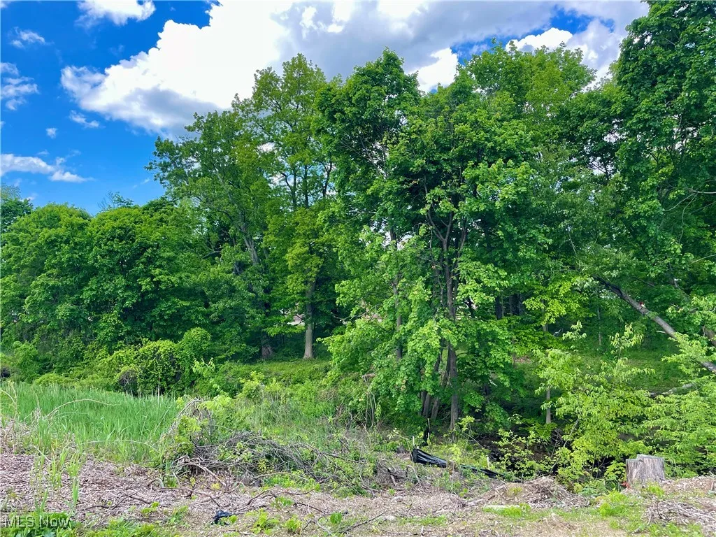 9025 Jackson Street, Mentor, Ohio,MLS Now Listing ID