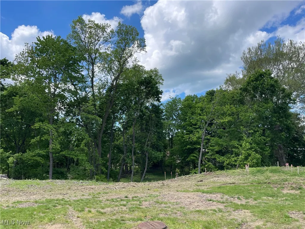 9025 Jackson Street, Mentor, Ohio,MLS Now Listing ID