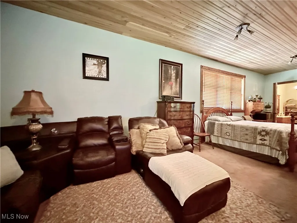 Living Room in Garage Apartment