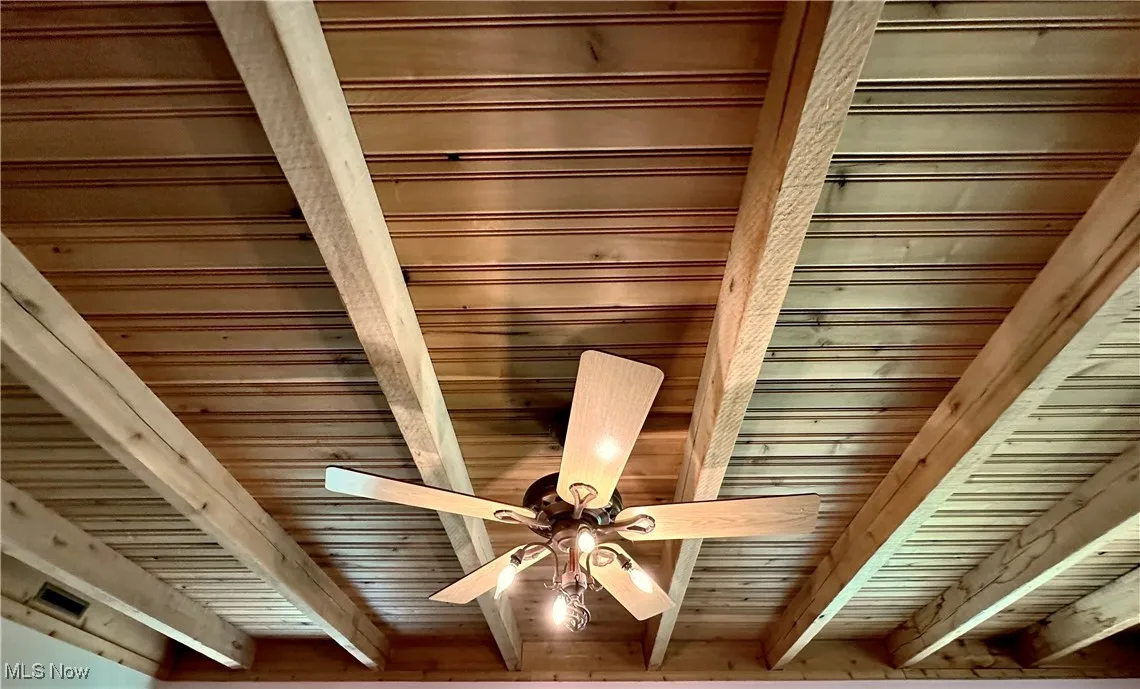 Beautiful Ceilings
