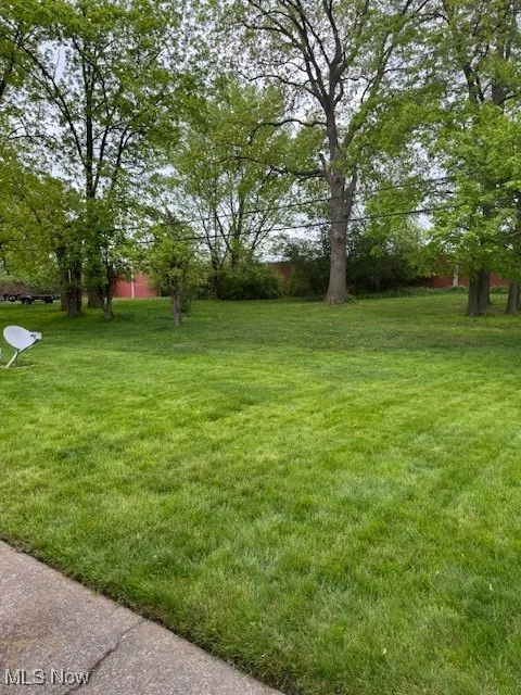 View of grassy yard