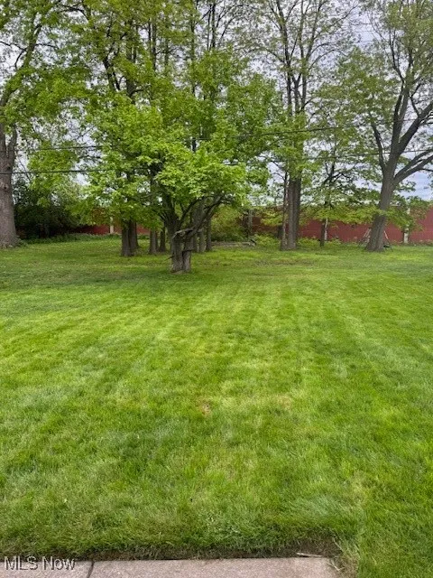 View of green lawn