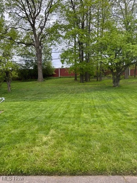 View of green lawn