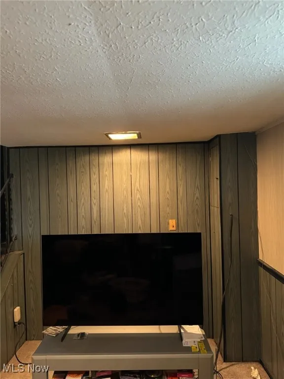 Detailed view of carpet, a textured ceiling, and wooden walls