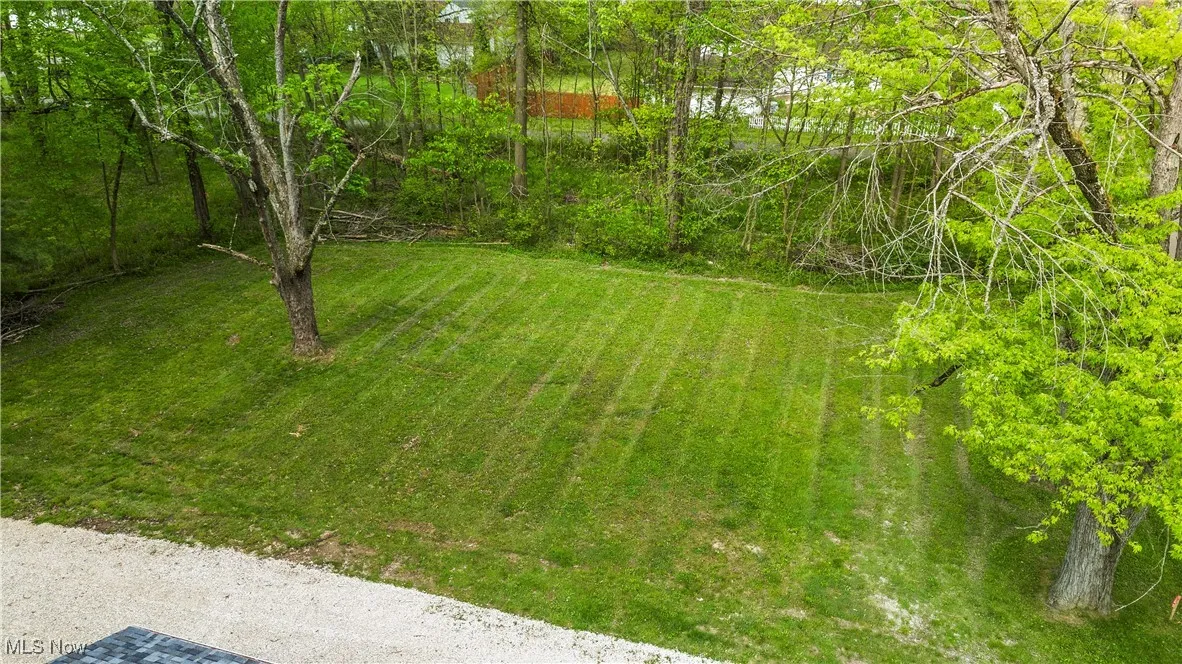 View of grassy yard