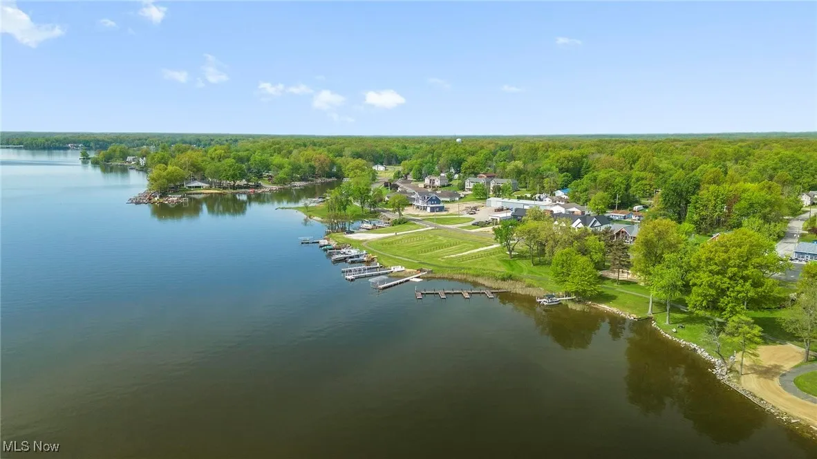 Aerial view of a forest and a large body of water