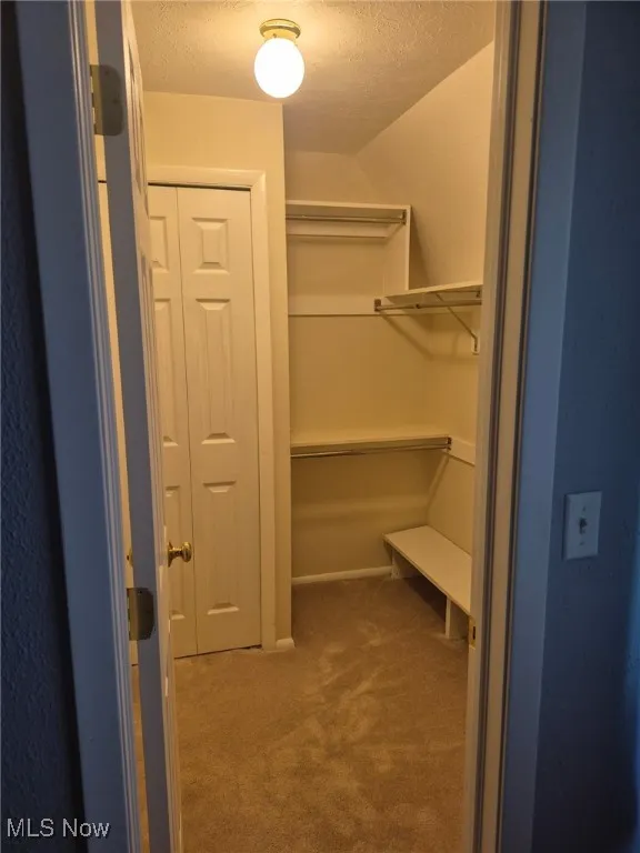 Spacious closet featuring carpet flooring