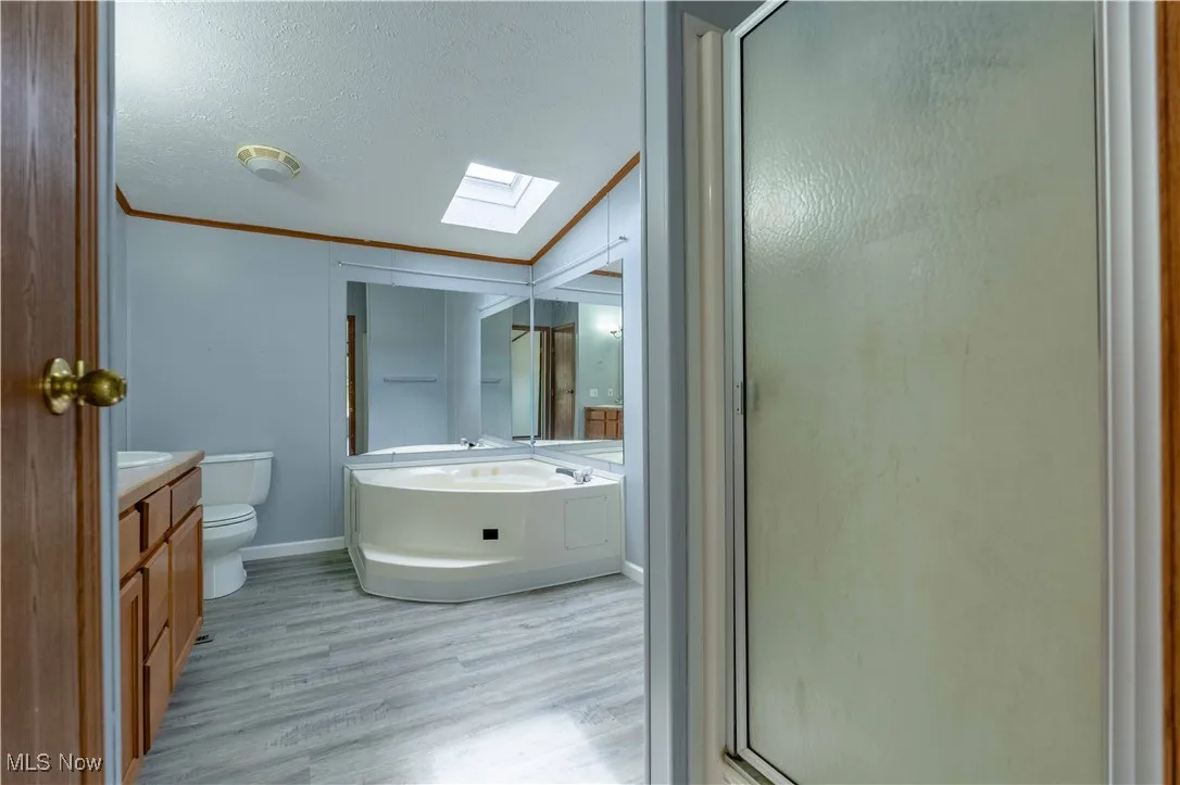 Bathroom featuring vanity, a skylight, a textured ceiling, light wood finished floors, and a shower stall