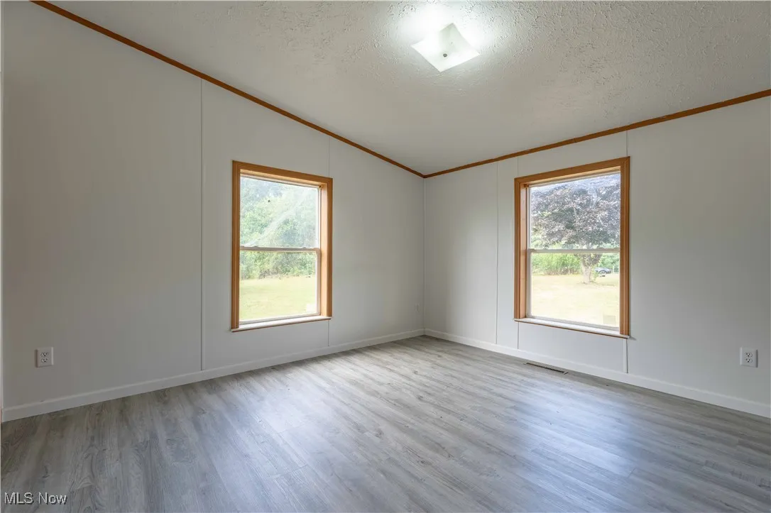 Unfurnished room with light wood-style floors, vaulted ceiling, a textured ceiling, plenty of natural light, and crown molding
