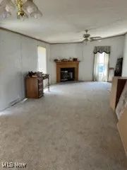 17607 Halleys Ridge Road, Pleasant City, Ohio,MLS Now Listing ID