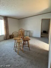 17607 Halleys Ridge Road, Pleasant City, Ohio,MLS Now Listing ID