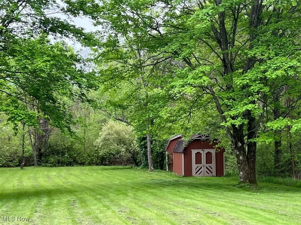 View of lush green lawn with a shed and a wooded view