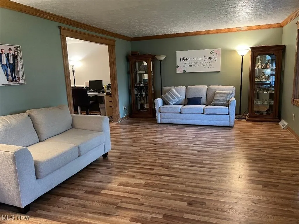 Living area featuring laminate floors, a textured ceiling, ornamental molding, and baseboards