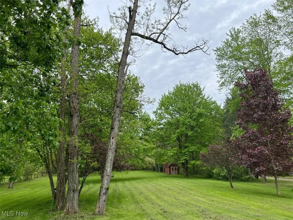 View of parklike back yard with mature trees . Storage shed for your yard tools and mower.