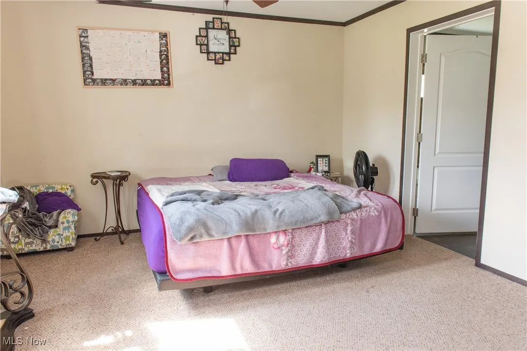 4691 Scenic Drive, Ravenna, Ohio,MLS Now Listing ID
