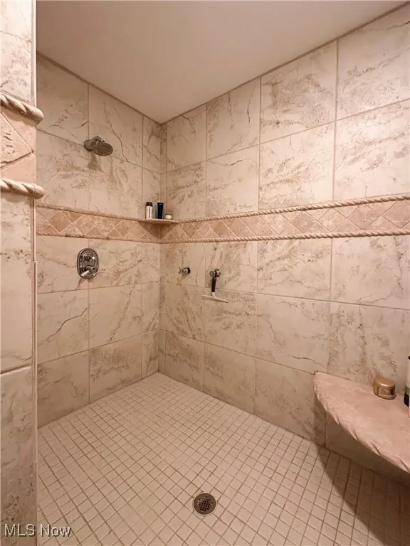 Full bathroom with tiled shower