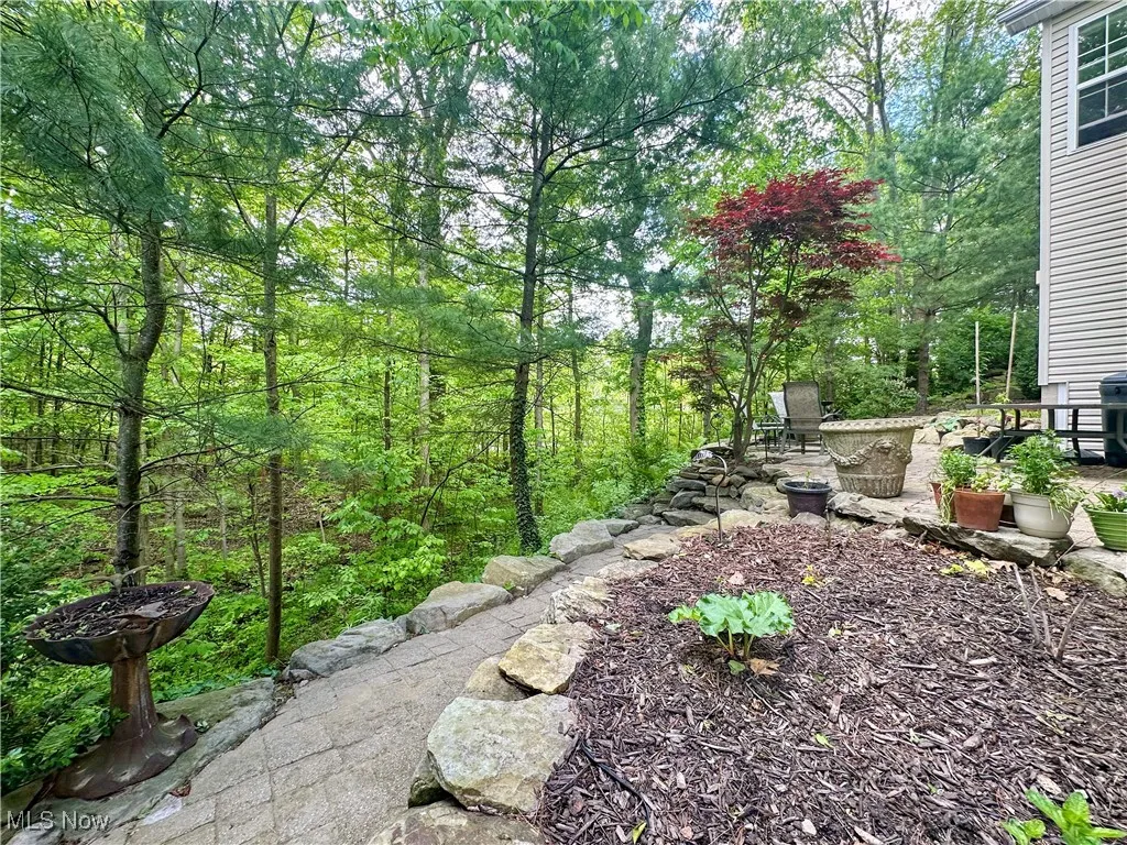 View of yard with a patio and a view of trees