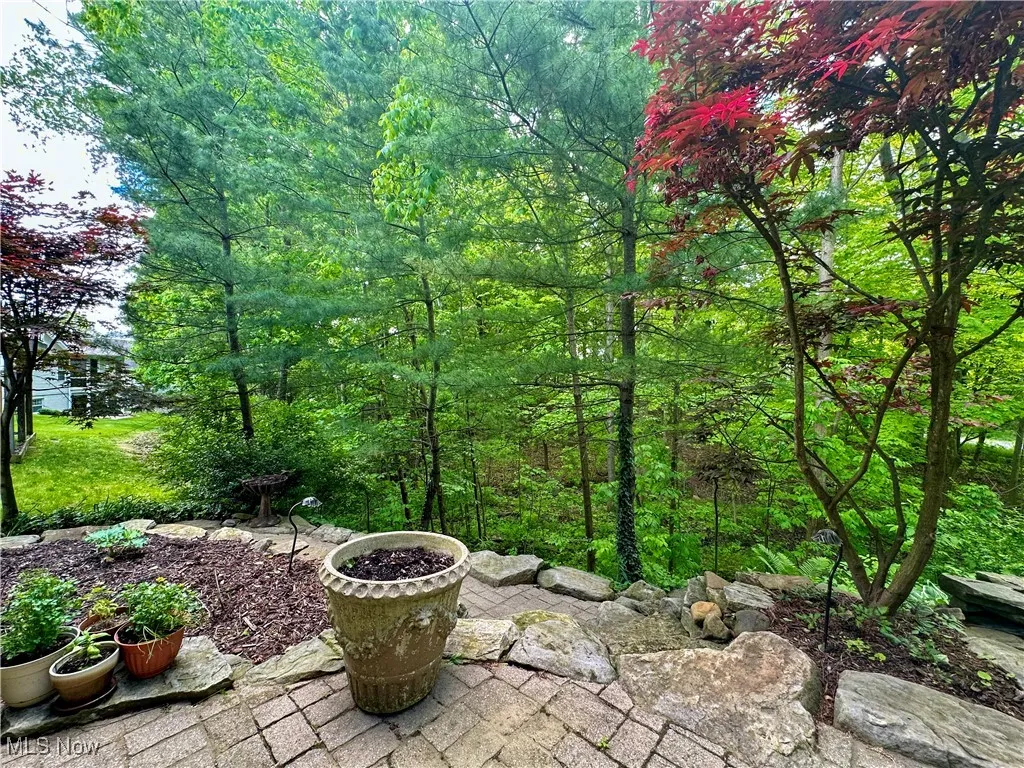 View of patio / terrace featuring a view of trees