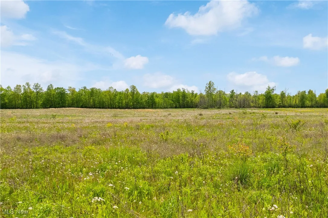 Kennard Road, Lodi, Ohio,MLS Now Listing ID