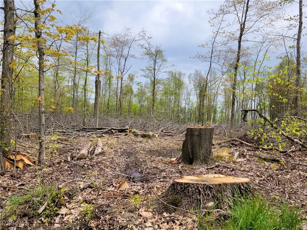 3705 Alexander Road, Randolph, Ohio,MLS Now Listing ID
