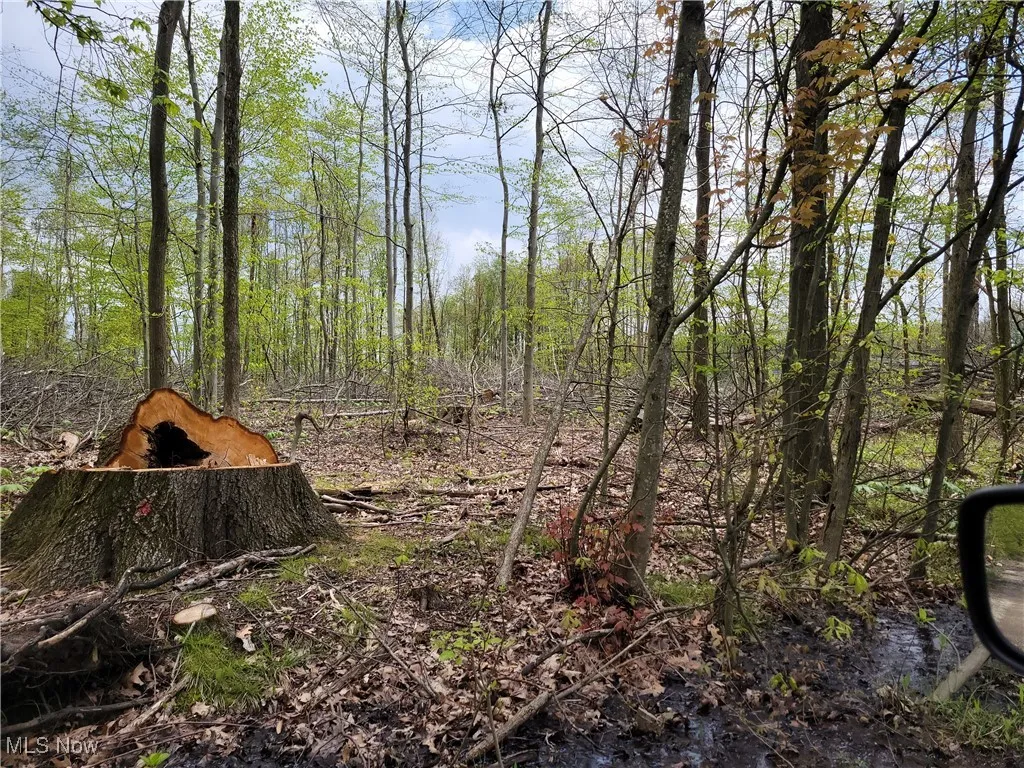 3705 Alexander Road, Randolph, Ohio,MLS Now Listing ID