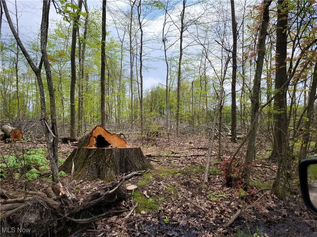 3705 Alexander Road, Randolph, Ohio,MLS Now Listing ID