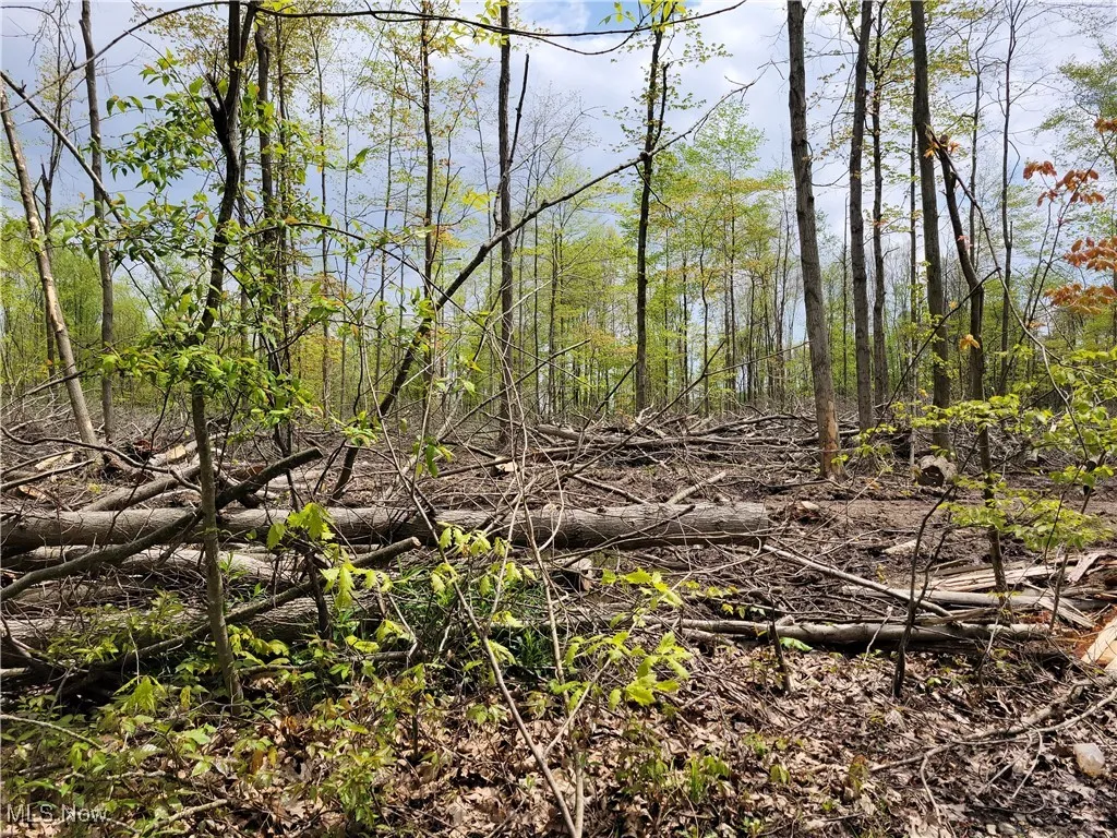3705 Alexander Road, Randolph, Ohio,MLS Now Listing ID