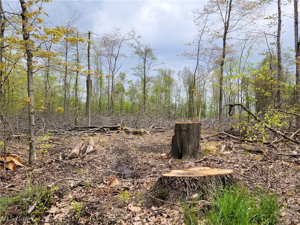 3705 Alexander Road, Randolph, Ohio,MLS Now Listing ID