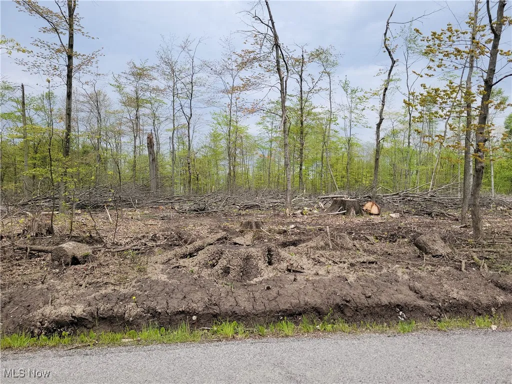 3705 Alexander Road, Randolph, Ohio,MLS Now Listing ID