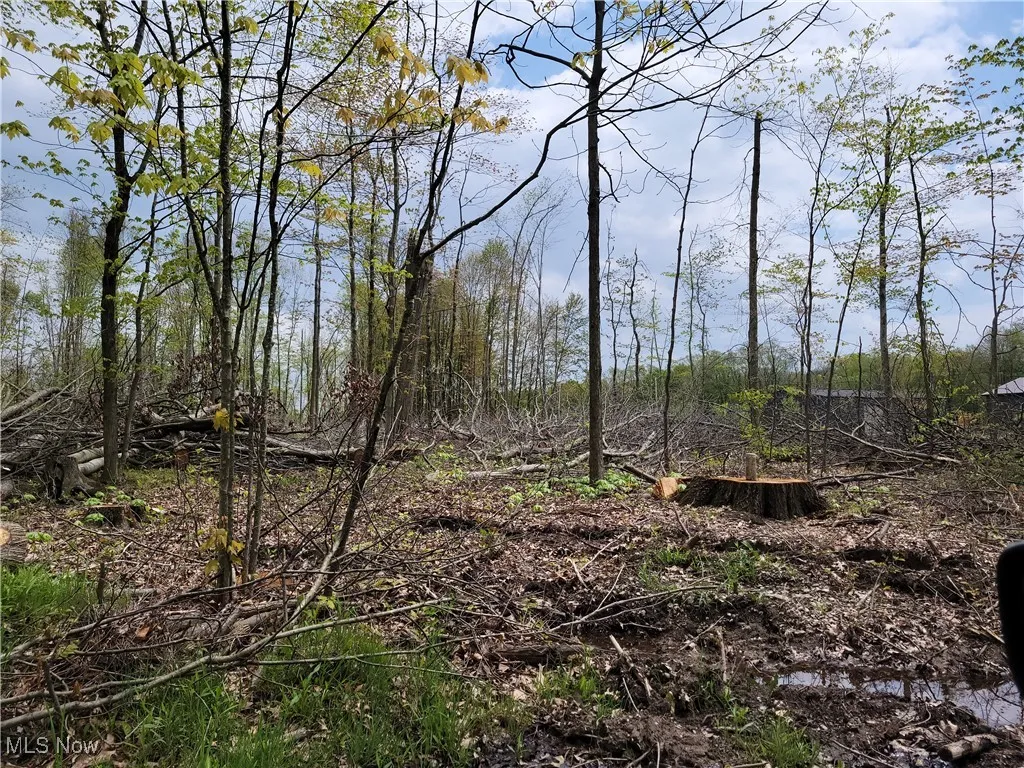 3705 Alexander Road, Randolph, Ohio,MLS Now Listing ID