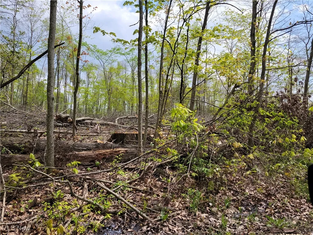 3705 Alexander Road, Randolph, Ohio,MLS Now Listing ID