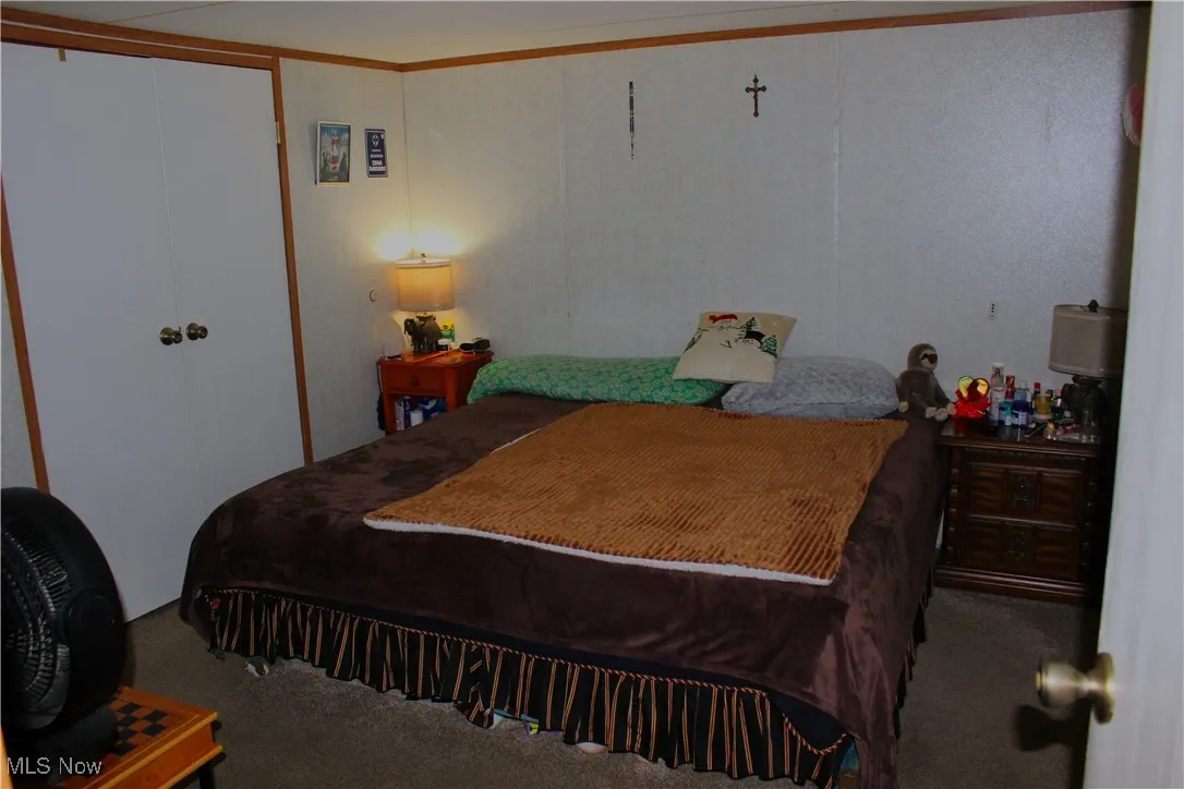 Bedroom featuring carpet and a closet