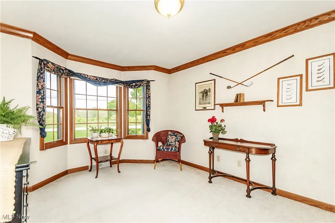 1410 Stowe Road, Saybrook, Ohio,MLS Now Listing ID