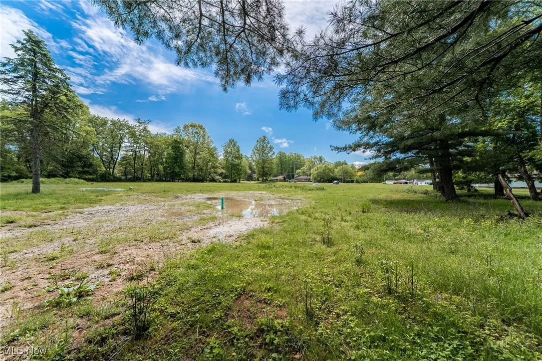 Middle of the property