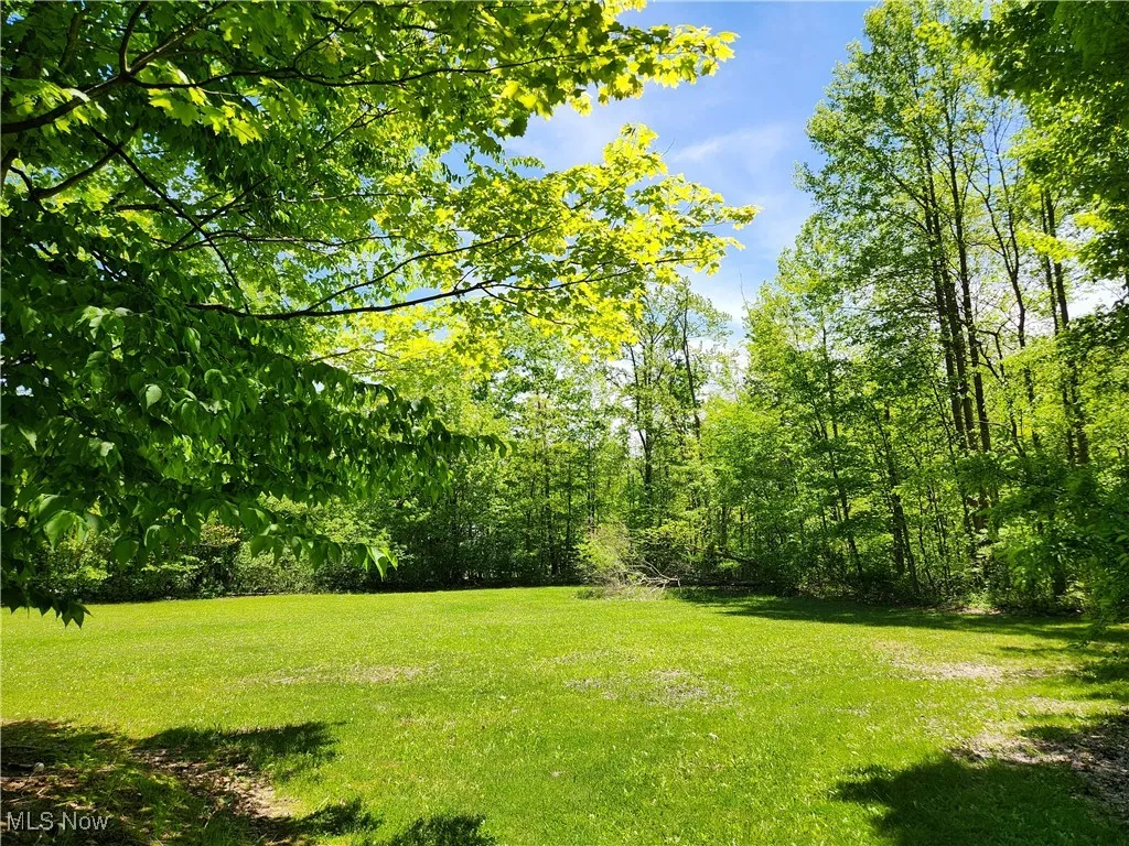 VACANT LAND Brakeman Road, Painesville Township, Ohio,MLS Now Listing ID