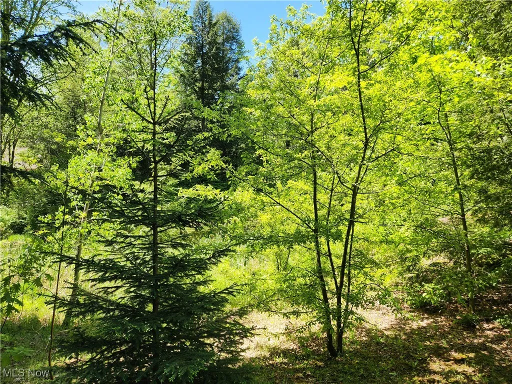 VACANT LAND Brakeman Road, Painesville Township, Ohio,MLS Now Listing ID