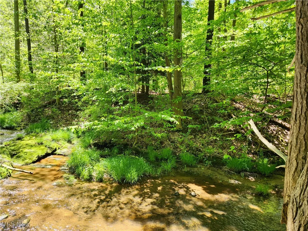 VACANT LAND Brakeman Road, Painesville Township, Ohio,MLS Now Listing ID