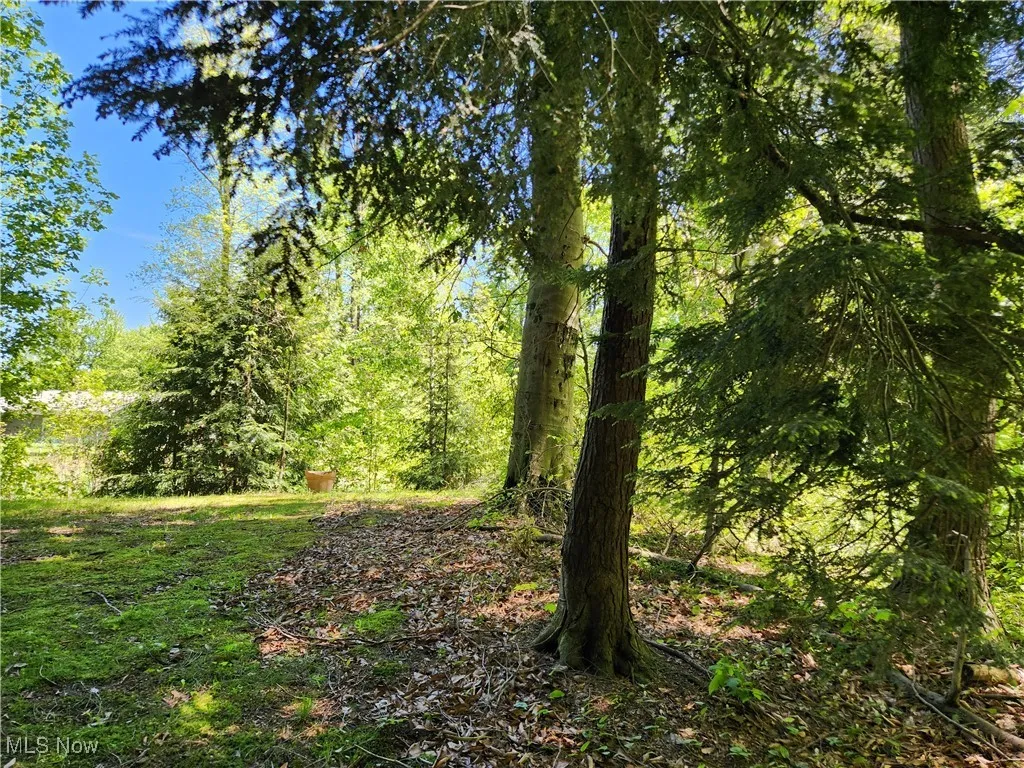 VACANT LAND Brakeman Road, Painesville Township, Ohio,MLS Now Listing ID