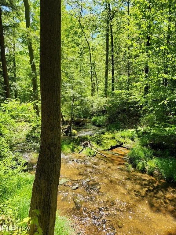 VACANT LAND Brakeman Road, Painesville Township, Ohio,MLS Now Listing ID