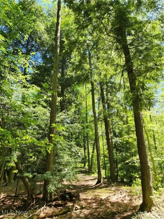 VACANT LAND Brakeman Road, Painesville Township, Ohio,MLS Now Listing ID