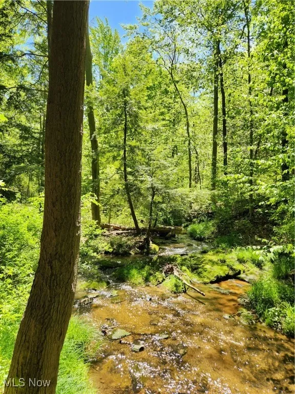 VACANT LAND Brakeman Road, Painesville Township, Ohio,MLS Now Listing ID