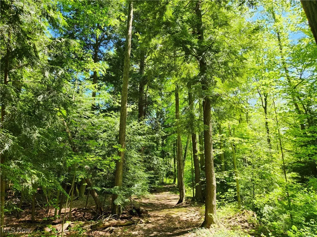 VACANT LAND Brakeman Road, Painesville Township, Ohio,MLS Now Listing ID