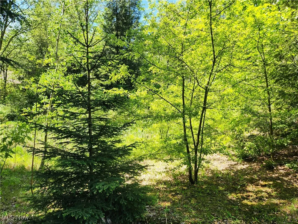 VACANT LAND Brakeman Road, Painesville Township, Ohio,MLS Now Listing ID