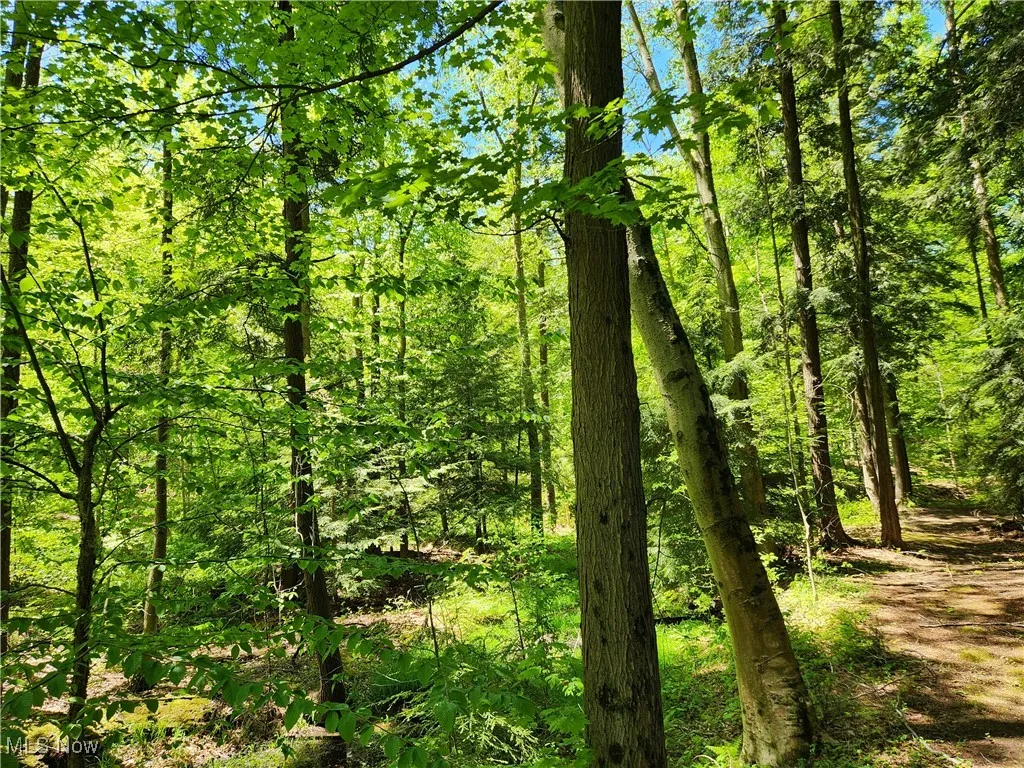 VACANT LAND Brakeman Road, Painesville Township, Ohio,MLS Now Listing ID