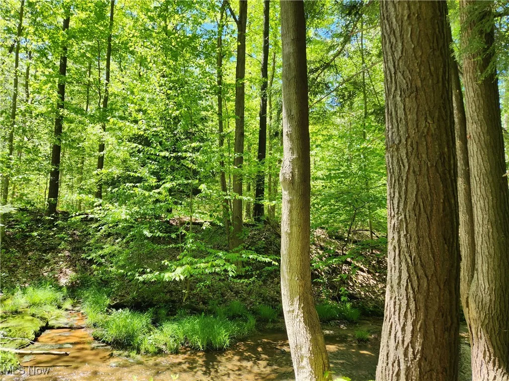 VACANT LAND Brakeman Road, Painesville Township, Ohio,MLS Now Listing ID
