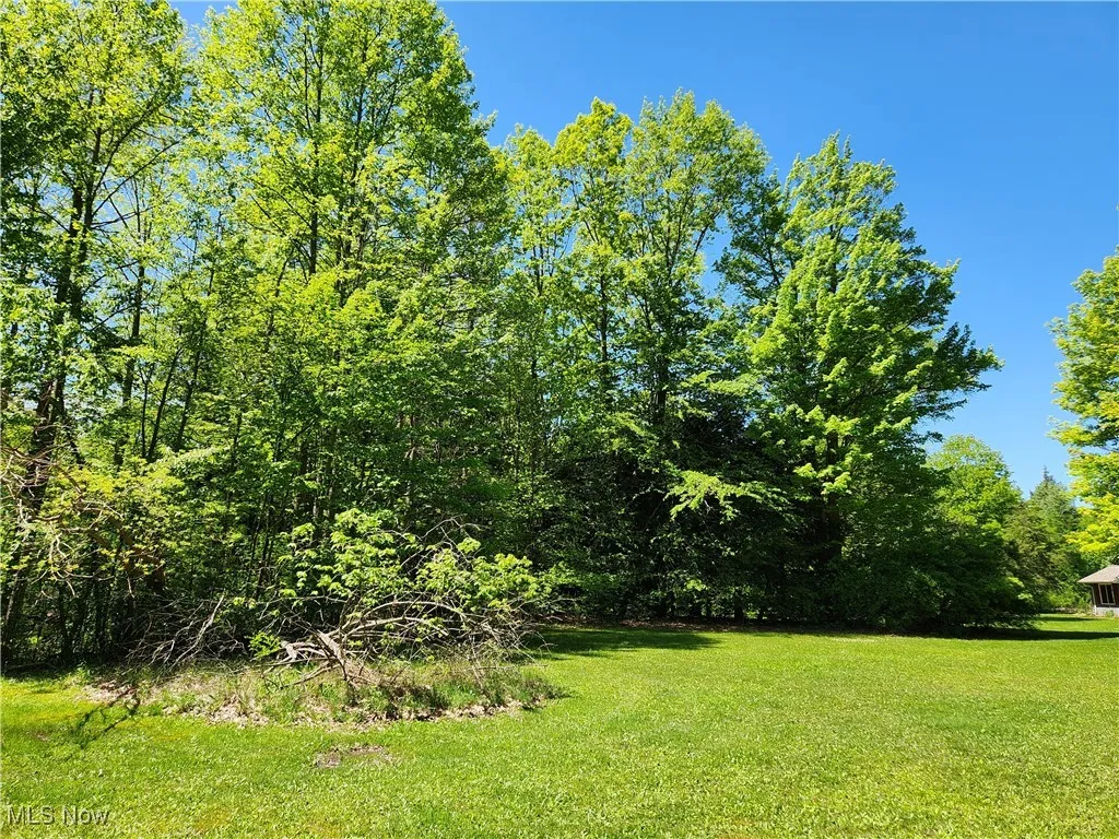 VACANT LAND Brakeman Road, Painesville Township, Ohio,MLS Now Listing ID