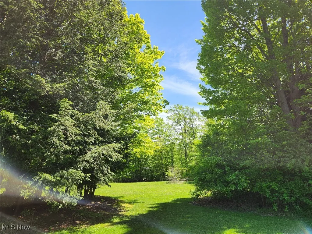 VACANT LAND Brakeman Road, Painesville Township, Ohio,MLS Now Listing ID