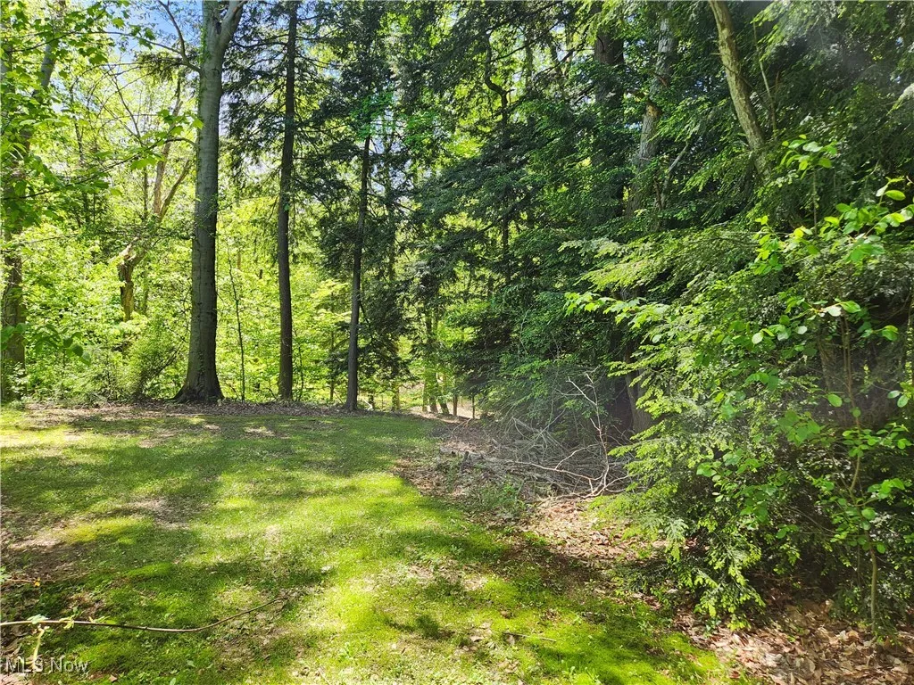 VACANT LAND Brakeman Road, Painesville Township, Ohio,MLS Now Listing ID